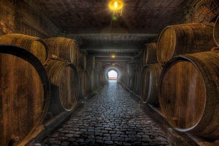 Tradicional Celler 1956 - 6