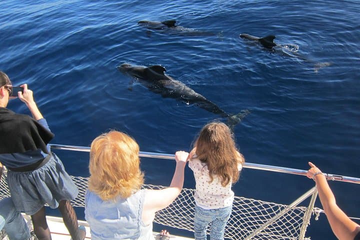 Ballenas - 1