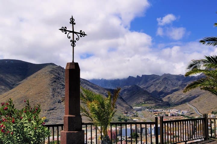 Excursión de un día a La Gomera desde Tenerife - 8
