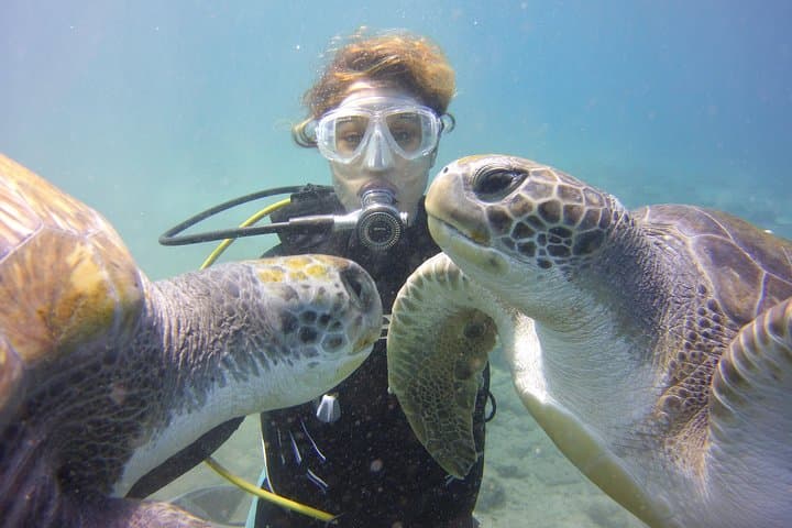 Buceo con tortugas - 1