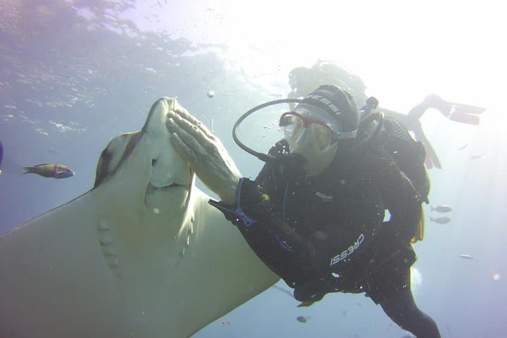 Buceo con tortugas - 4