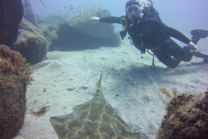 Buceo con tortugas - 5