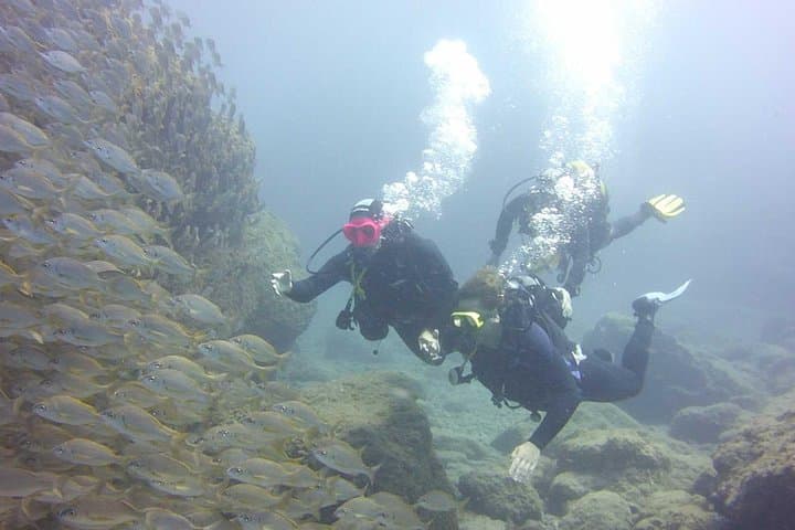 Buceo con tortugas - 7