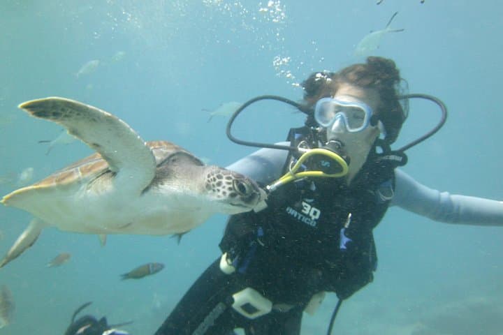 Informe de seguridad en Ocean Trek Dive Club - 2