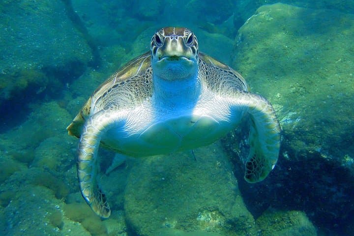 El mejor equipo https://media-cdn.tripadvisor.com/media/attractions-splice-spp-720x480/09/94/68/b6.jpg - 4