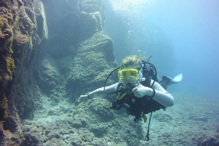 Ocean Trek - 1