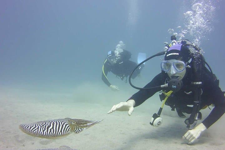 Informe de seguridad en Ocean Trek Dive Club - 4