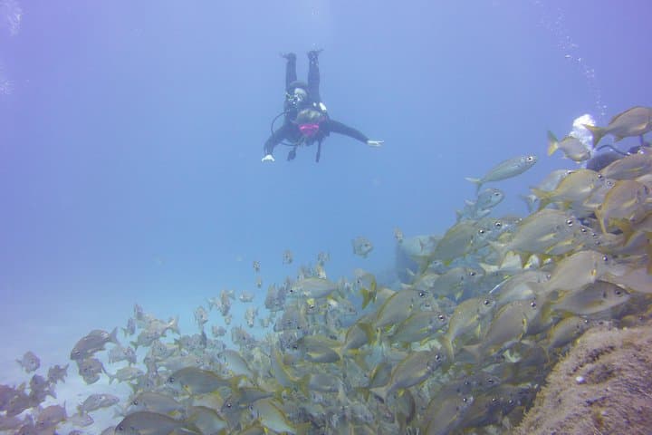 Informe de seguridad en Ocean Trek Dive Club - 6