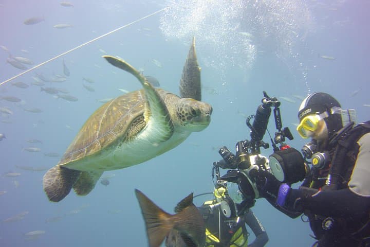 Ocean Trek - 6