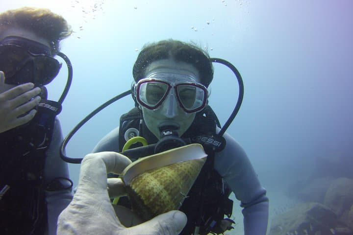 Buceo con tortugas - 8