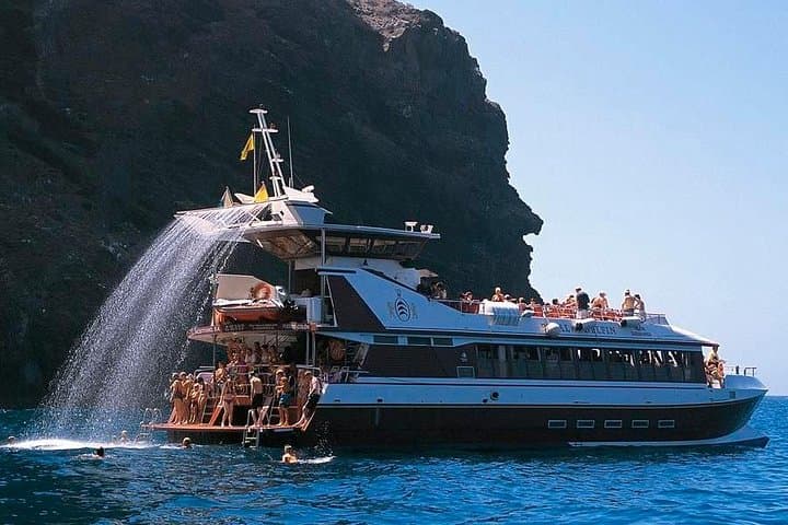 Royal Delfín - 8