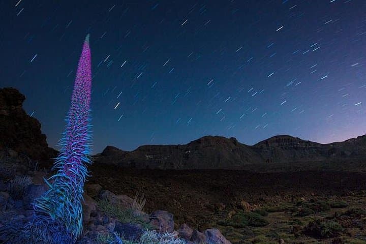 El Teide bajo las estrellas. - 2
