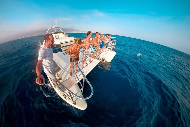 Catamarán Monte Cristo Tenerife - 1