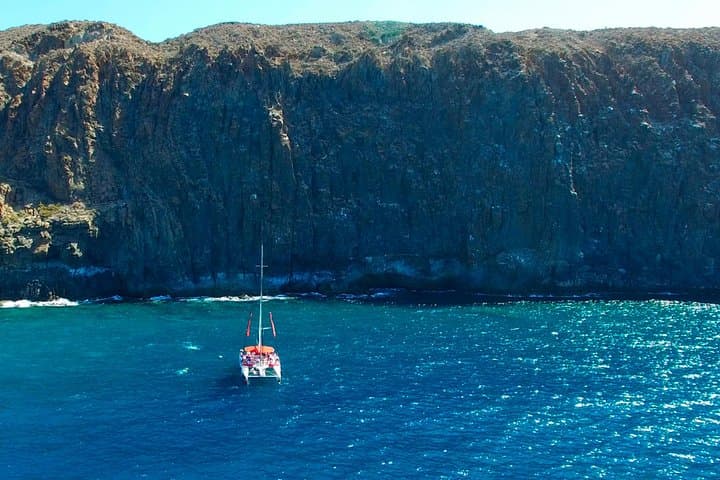 Eco catamarán avistamiento de ballenas en Tenerife - 5