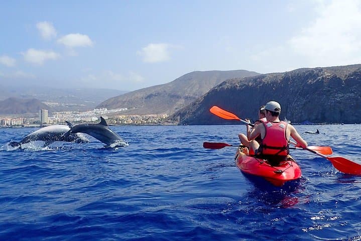 Kayak con delfines en Tenerife - 3