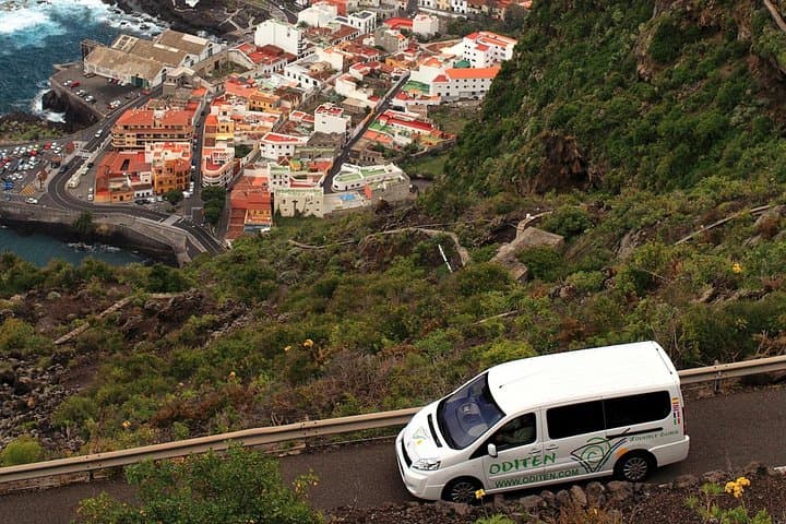 Tour privado por el Parque Nacional del Teide y Tenerife Norte - 4