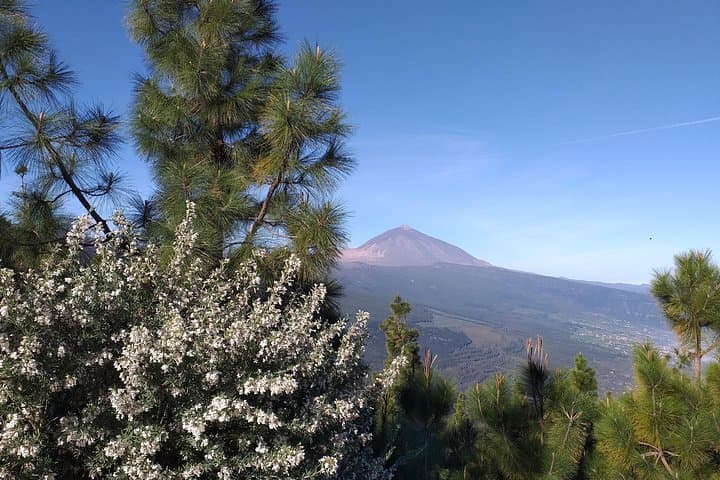 Mirador en Teide - 5