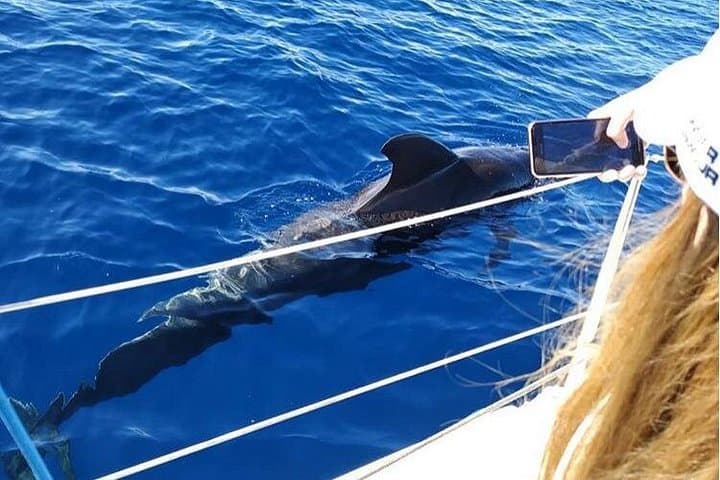 Charter privado en Tenerife sur max 7 personas - 6