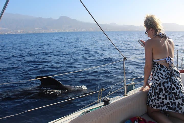 Whale and Dolphin Small Group Sailing from Tenerife South - 3