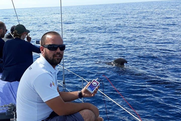 Velero de lujo para avistamiento de ballenas Gran Azur - 8