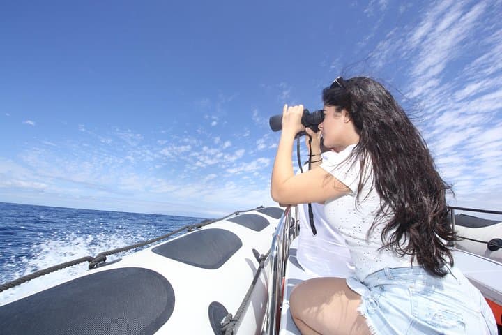 Tour de observación de ballenas y ciencias marinas - 5