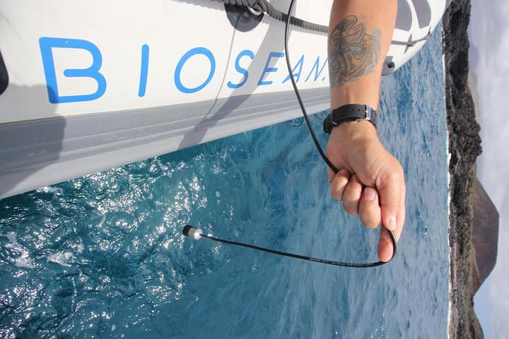 Tour de observación de ballenas y ciencias marinas - 4