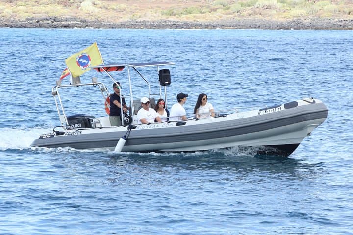 Tour de observación de ballenas y ciencias marinas - 2