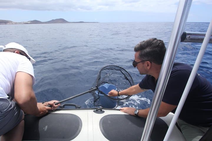 Tour de observación de ballenas y ciencias marinas - 8