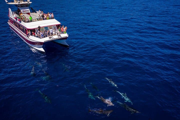 Delfines - 2