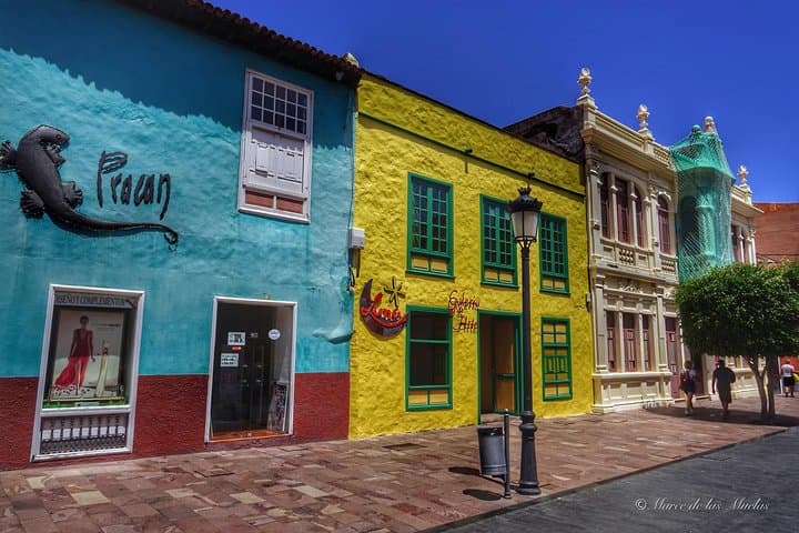 Excursión de un día a La Gomera desde Tenerife - 5