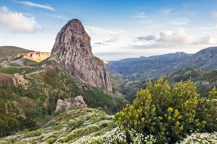 Excursión de un día a La Gomera desde Tenerife - 4