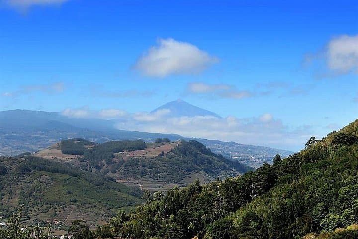 Increíble Anaga : Tour de senderismo en grupos pequeños (12km) en Tenerife - 4