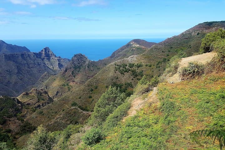 Increíble Anaga : Tour de senderismo en grupos pequeños (12km) en Tenerife - 5