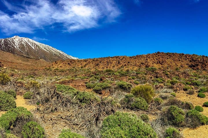 Parque Nacional del Teide - 7
