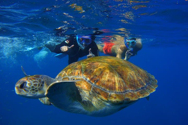 Snork Snork - 5