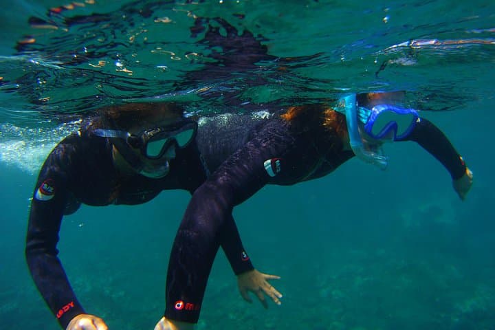 Snork Snork - 6