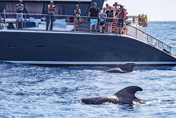 Viaje en velero por el sur de Tenerife - 6
