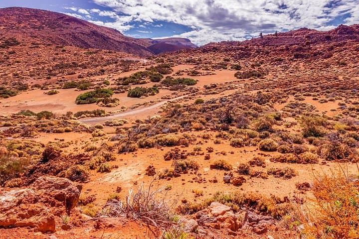 Parque Nacional del Teide - 6