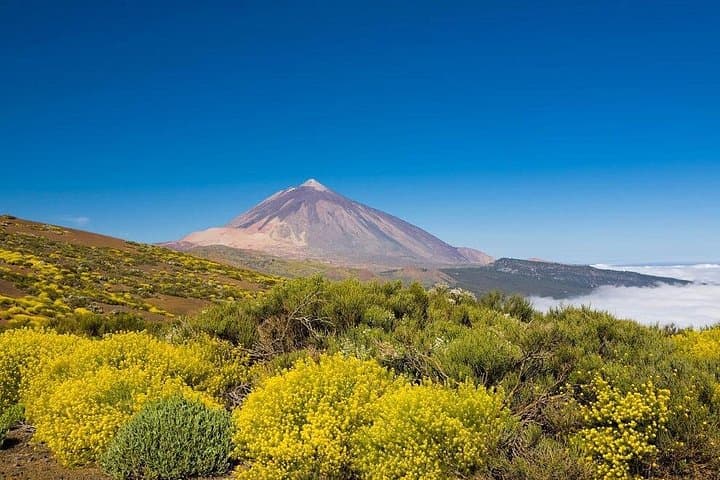 Excursión privada al volcán y al Teide en Tenerife - 1