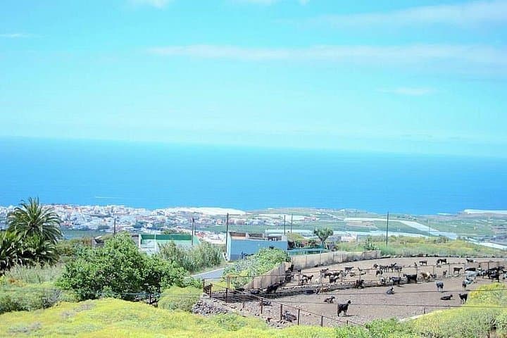 Tour privado VIP por la isla desde Tenerife - 5
