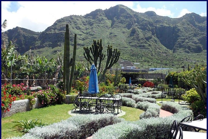 Go West - Tour privado VIP en Tenerife a Masca, Garachico e Icod - 3