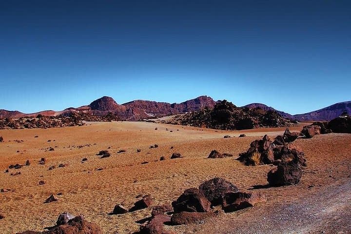 Excursión privada de 8 horas en tierra al teleférico de El Teide + con guía y conductor - 2