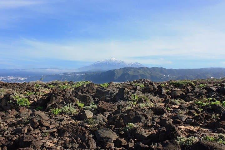 Excursión privada de 8 horas en tierra al teleférico de El Teide + con guía y conductor - 4