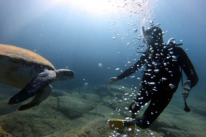 Curso de buceo PADI en Costa Adeje - 2