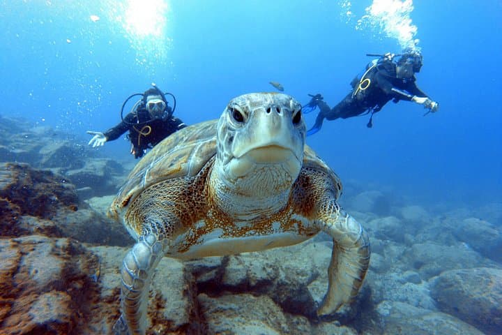 Curso de buceo PADI en Costa Adeje - 8
