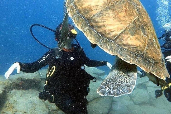 Curso de buceo PADI en Costa Adeje - 4
