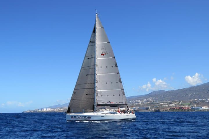3 Horas Todo incluido en barco a vela para ver ballenas y delfines - 2