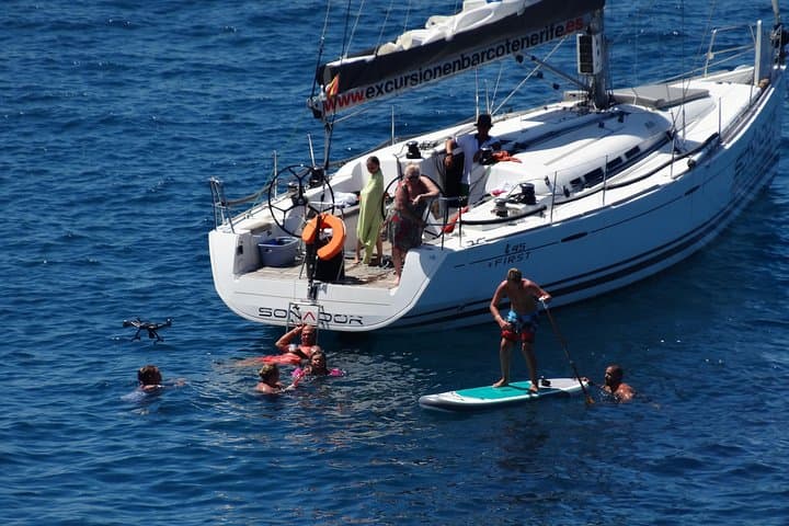 3 Horas Todo incluido en barco a vela para ver ballenas y delfines - 7