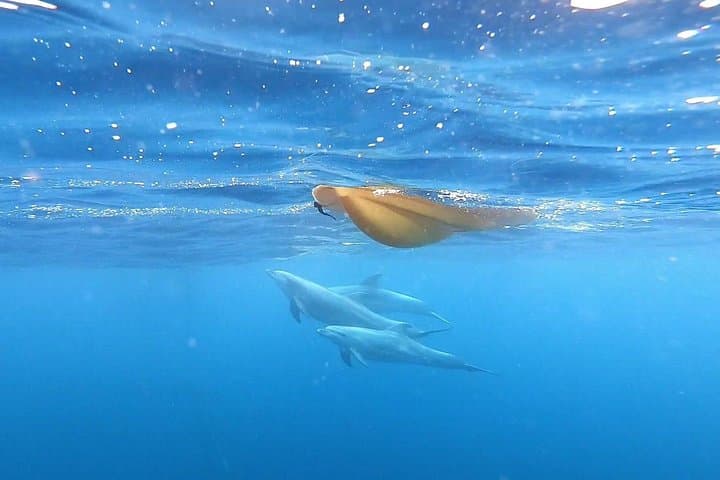https ://media-cdn.tripadvisor.com/media/attractions-splice-spp - 720x480/0b/c9/ce/d9.jpg - 6