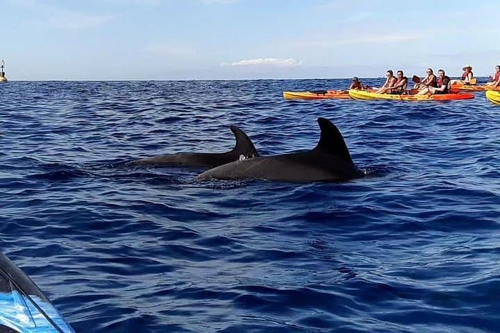 https ://media-cdn.tripadvisor.com/media/attractions-splice-spp - 720x480/0b/c9/ce/d9.jpg - 8